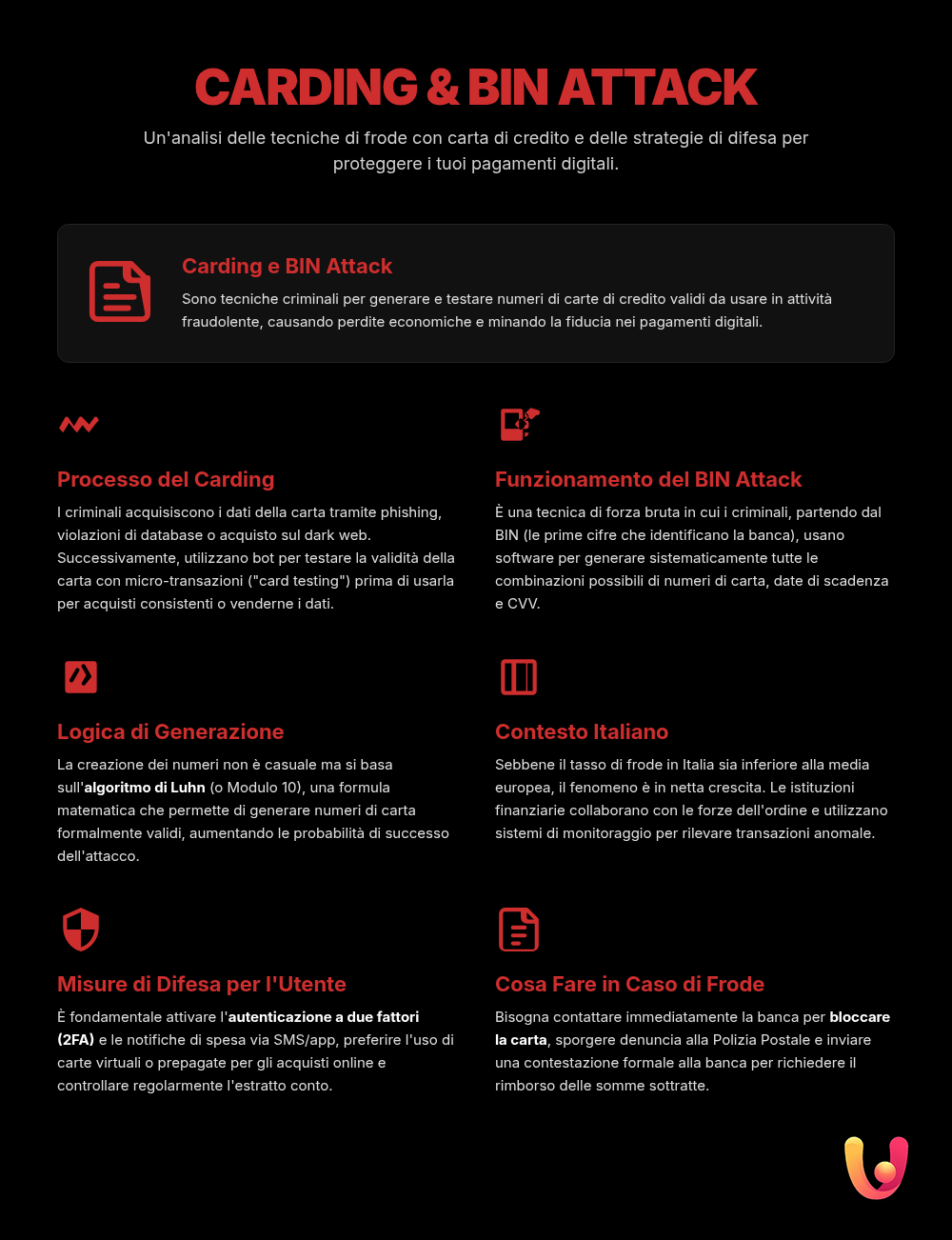 Carding e BIN Attack: come ti rubano la carta di credito online - Infografica riassuntiva