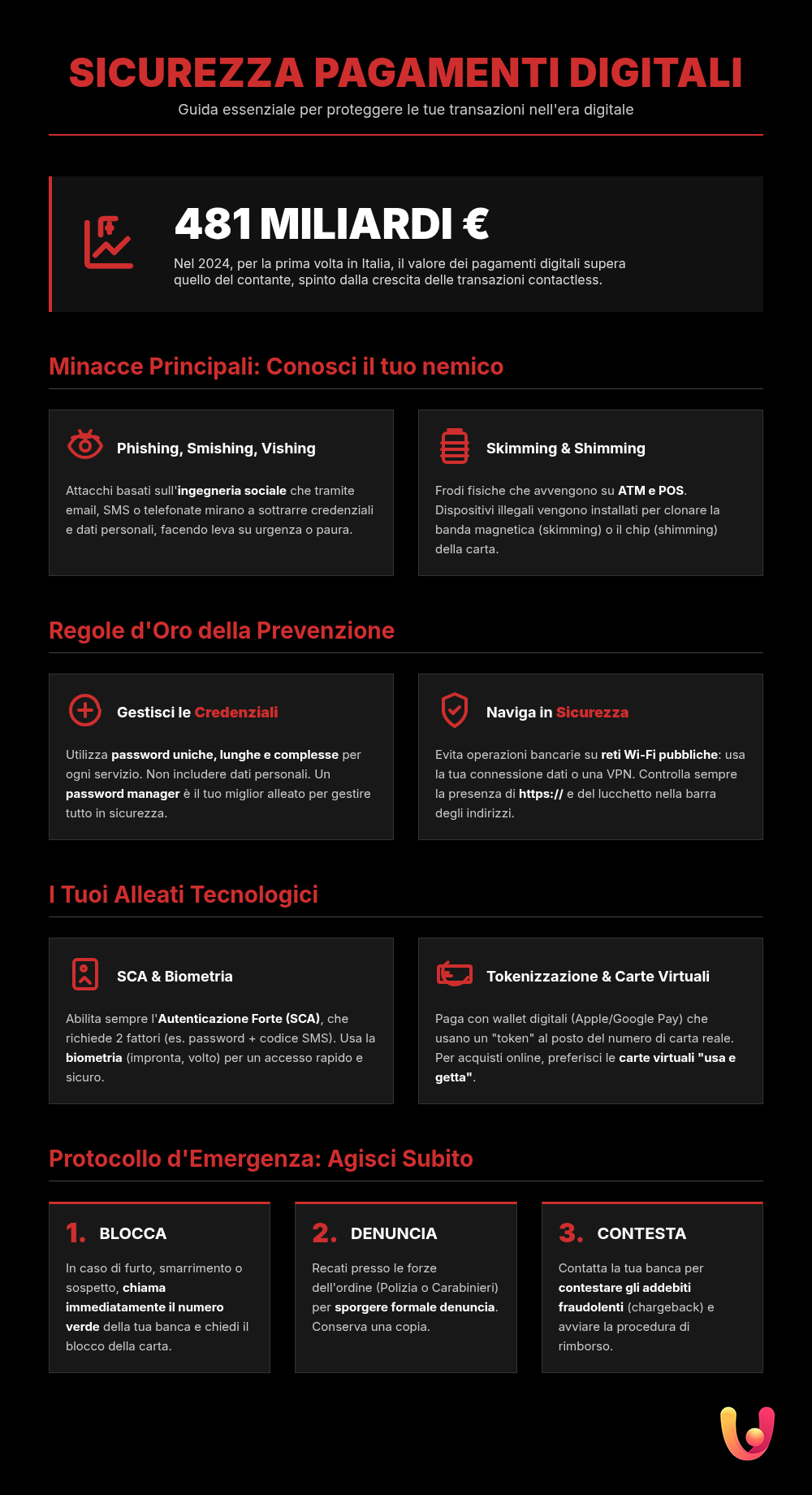 Carte Sicure: Manuale di Autodifesa Digitale per i Pagamenti - Infografica riassuntiva