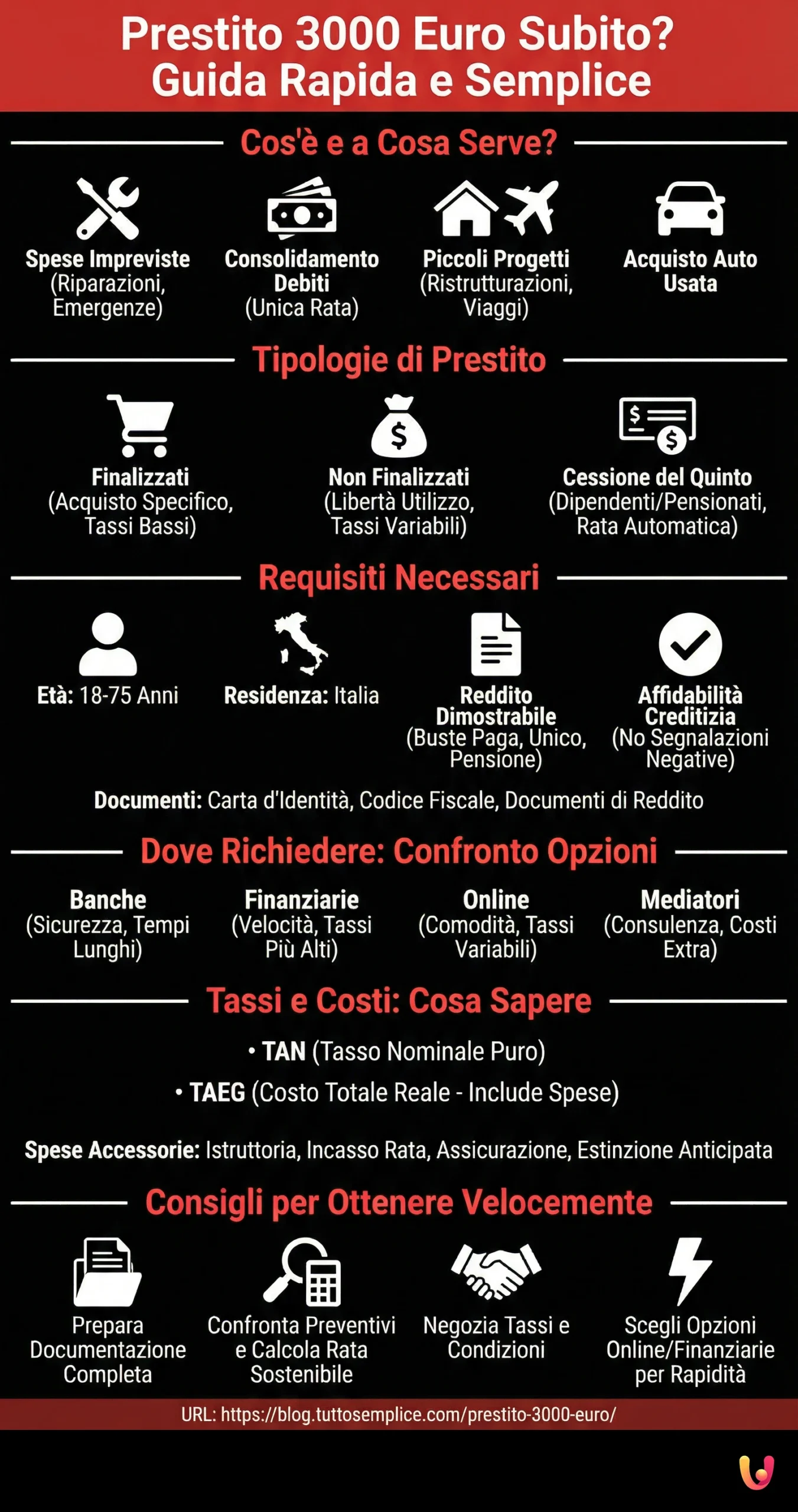 Prestito 3000 Euro Subito? Guida Rapida e Semplice - Infografica riassuntiva