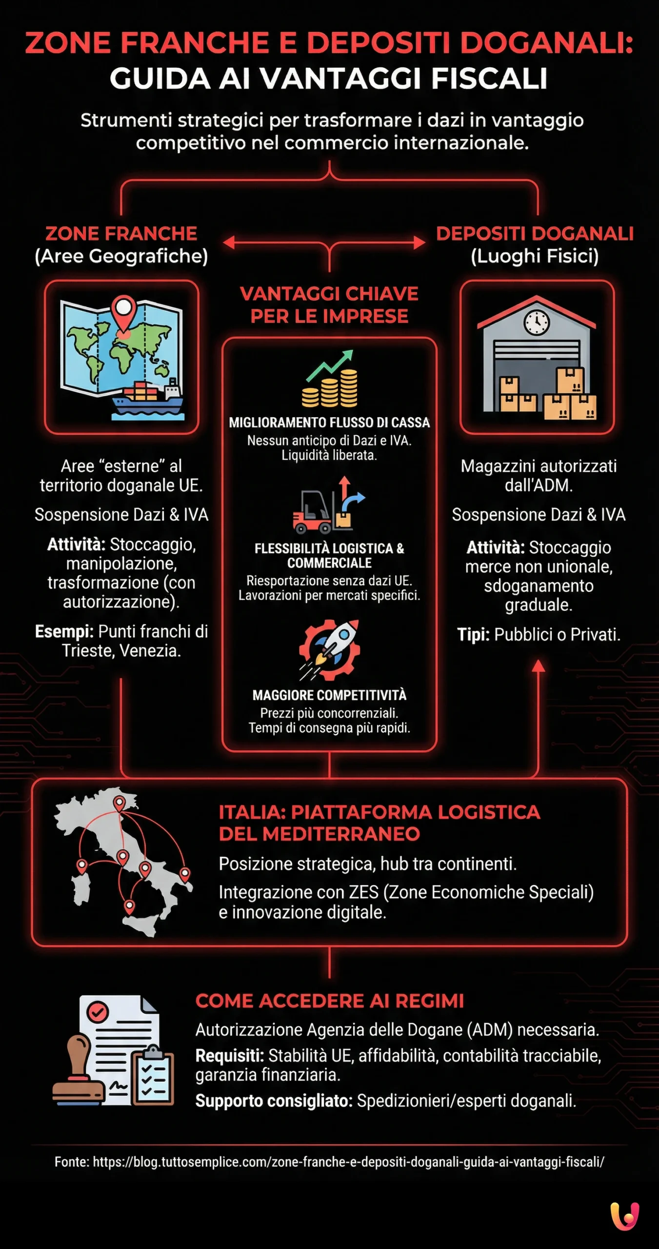 Zone Franche e Depositi Doganali: Guida ai Vantaggi Fiscali - Infografica riassuntiva