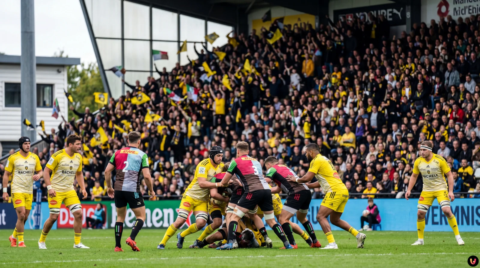 La Rochelle &ndash; Harlequins : Le Choc D&eacute;cisif de Champions Cup en Direct
