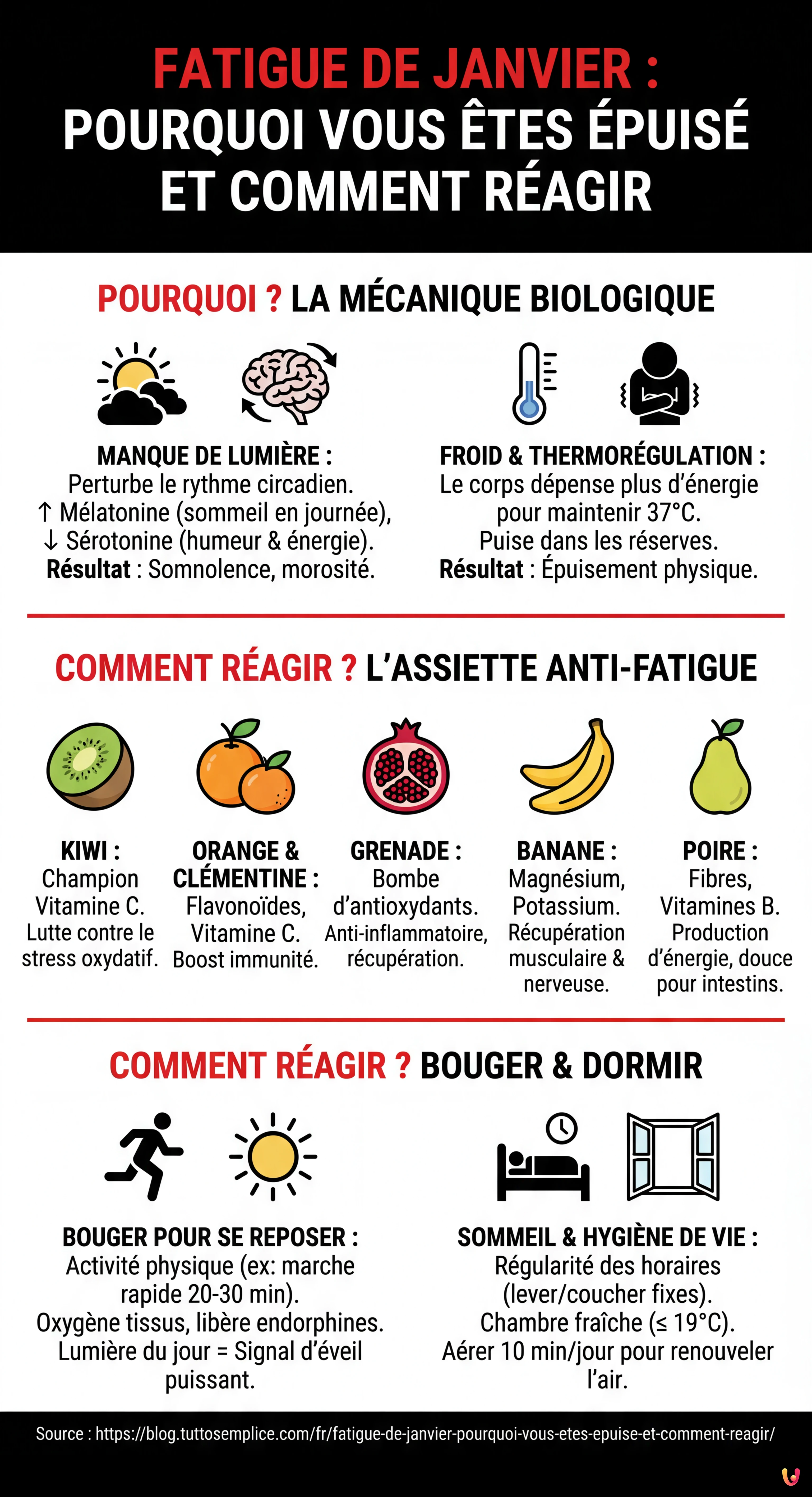 Fatigue de janvier : pourquoi vous êtes épuisé et comment réagir - Infographie résumant