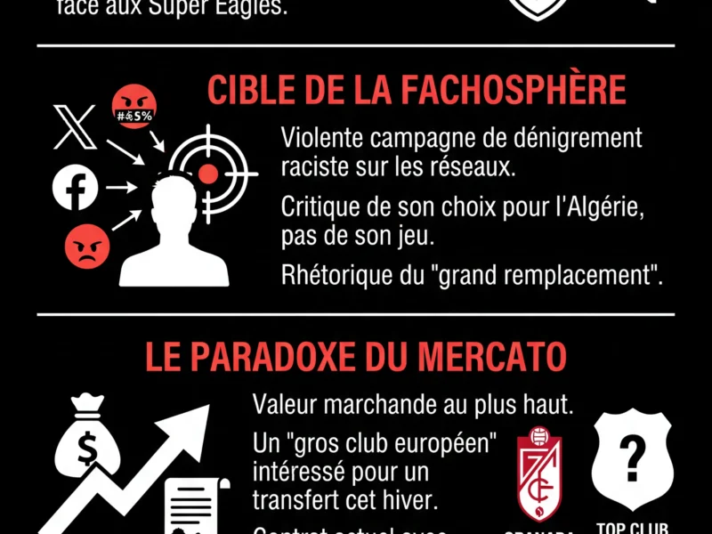 Infografica: Luca Zidane : La cible de la fachosph&egrave;re apr&egrave;s l'&eacute;limination de l'Alg&eacute;rie
