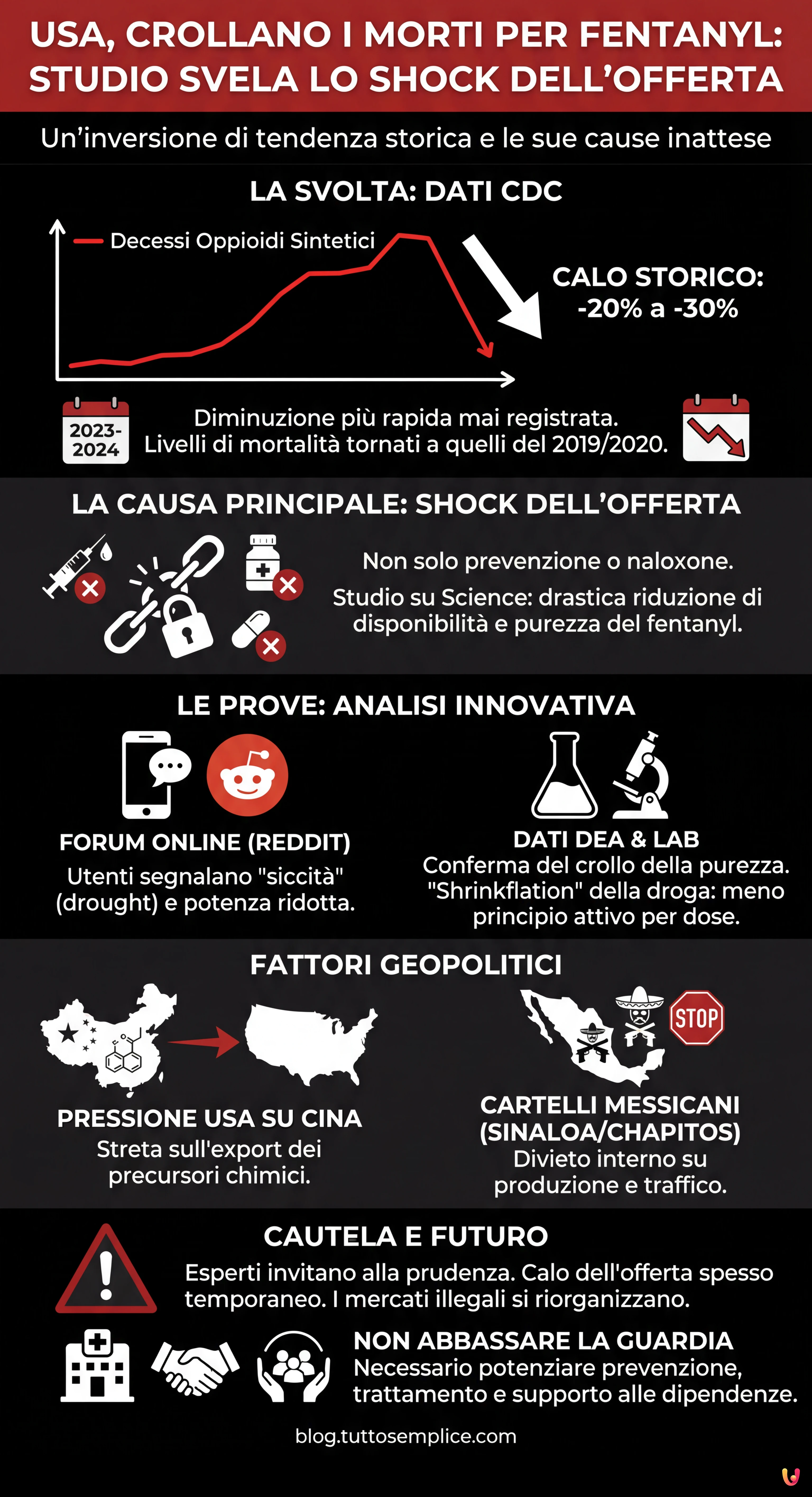 USA, crollano i morti per fentanyl: studio svela lo shock dell'offerta - Infografica riassuntiva