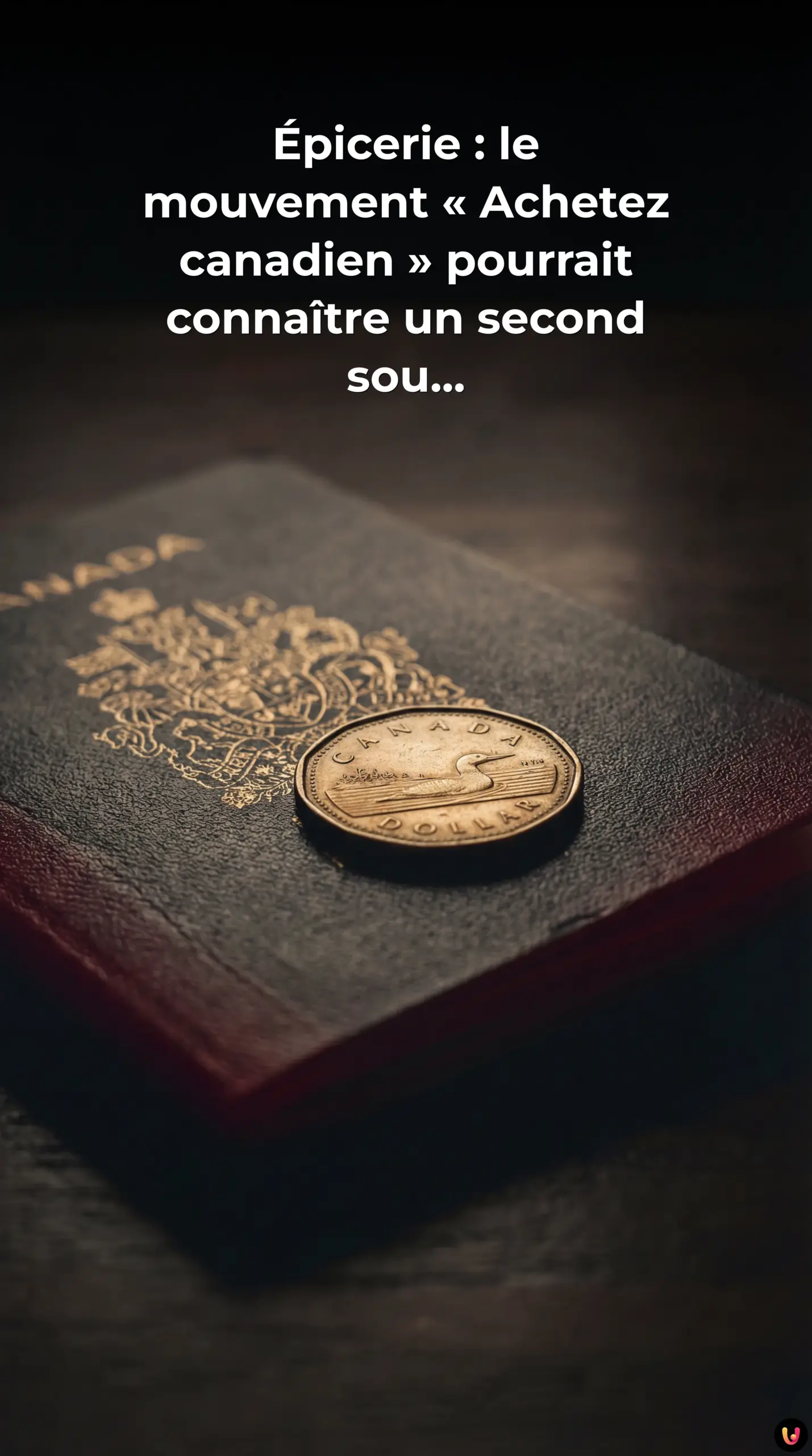 Rayons d'épicerie avec produits étiquetés Origine Canada