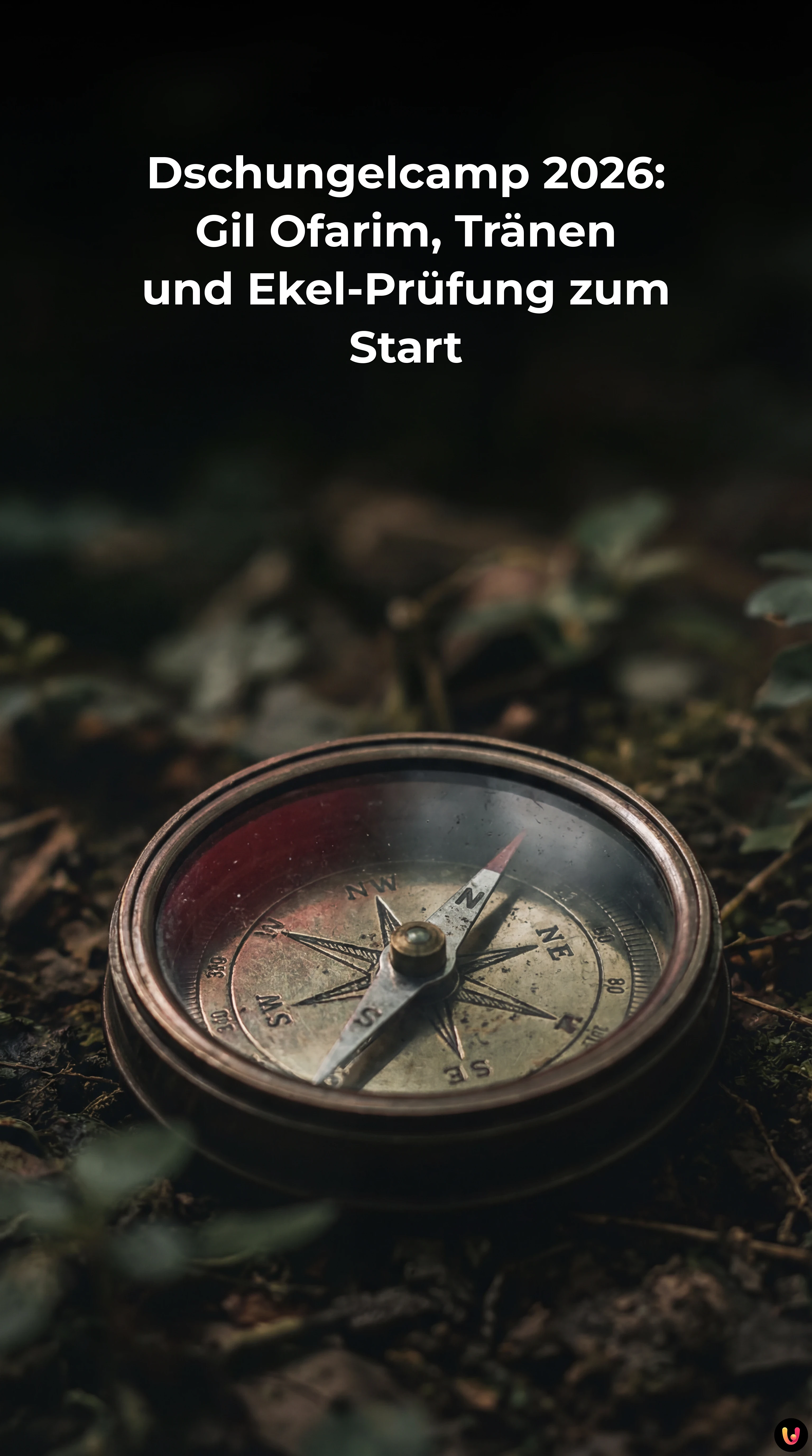 Gil Ofarim und Moderatorin Sonja Zietlow beim Auftakt von Dschungelcamp 2026