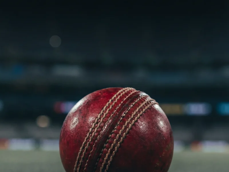 Pinterest: IND vs NZ 5th T20I Live: Sanju Samson Takes Center Stage in Thiruvananthapuram