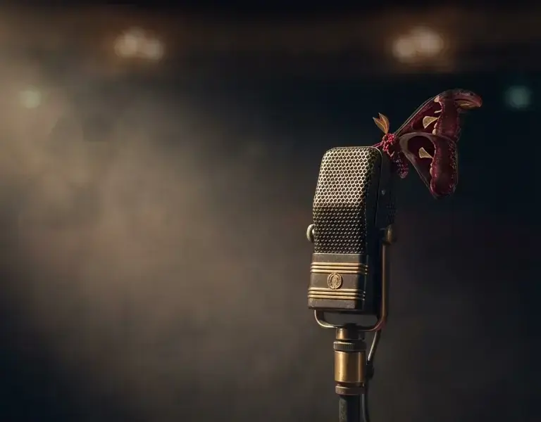 Pinterest: Malika Ayane a Sanremo 2026: brano Animali Notturni e tour teatrale