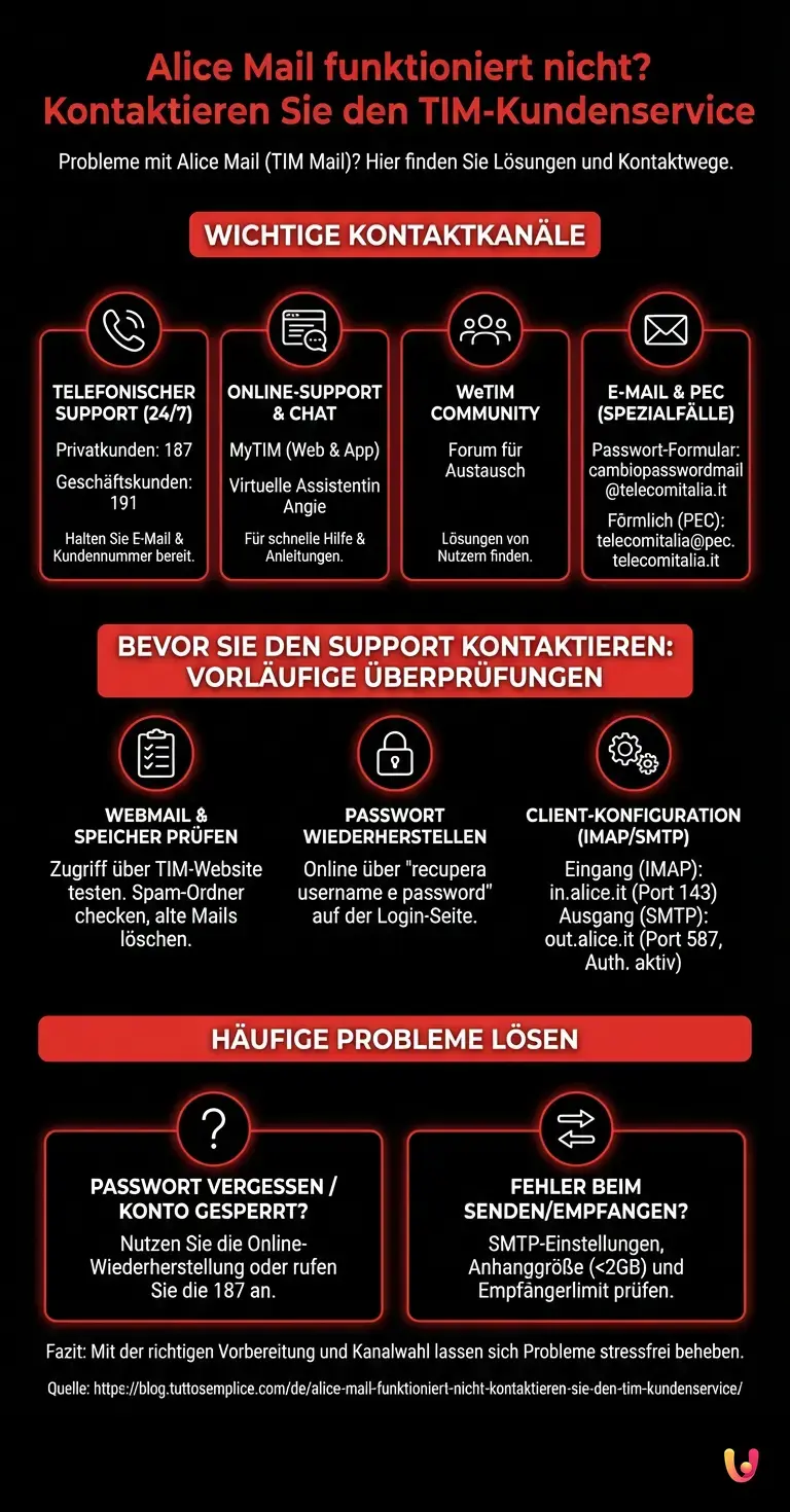 Alice Mail funktioniert nicht? Kontaktieren Sie den TIM-Kundenservice - Zusammenfassende Infografik