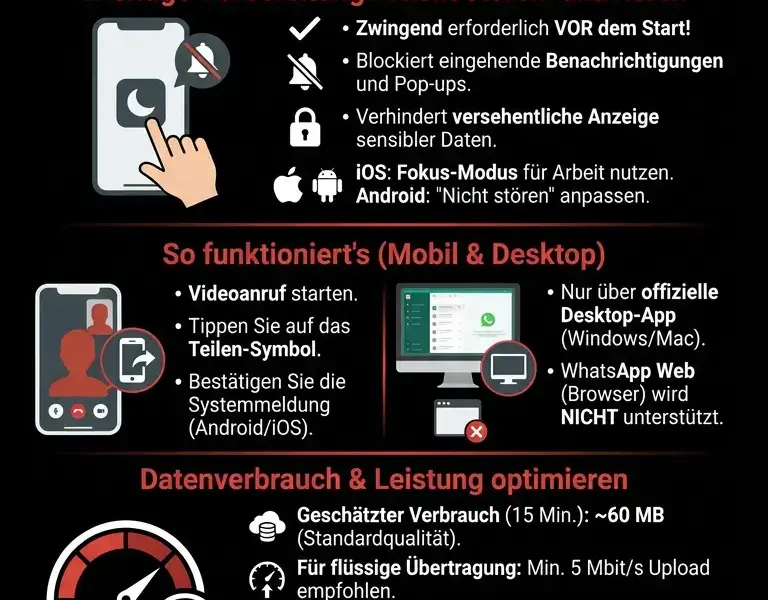 Infografica: Bildschirmfreigabe bei Videoanrufen: So halten Sie Pr&auml;sentationen auf WhatsApp