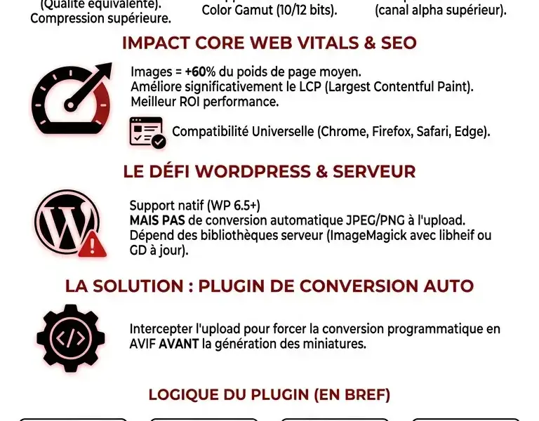 Infografica: Optimisation AVIF pour WordPress&nbsp;: Guide et plugin personnalis&eacute;