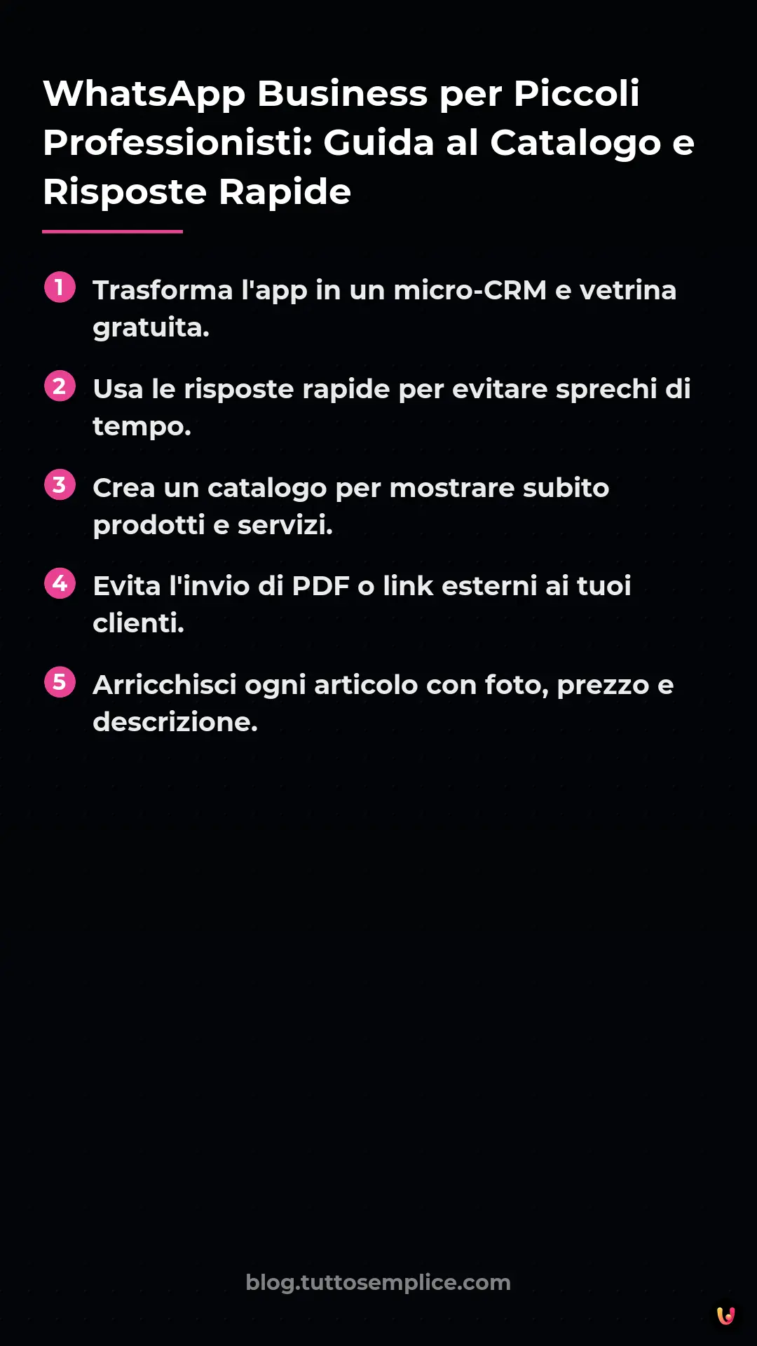 List: WhatsApp Business per Piccoli Professionisti: Guida al Catalogo e Risposte Rapide