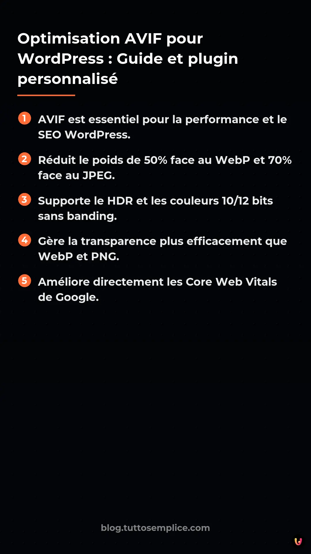 List: Optimisation AVIF pour WordPress&nbsp;: Guide et plugin personnalis&eacute;